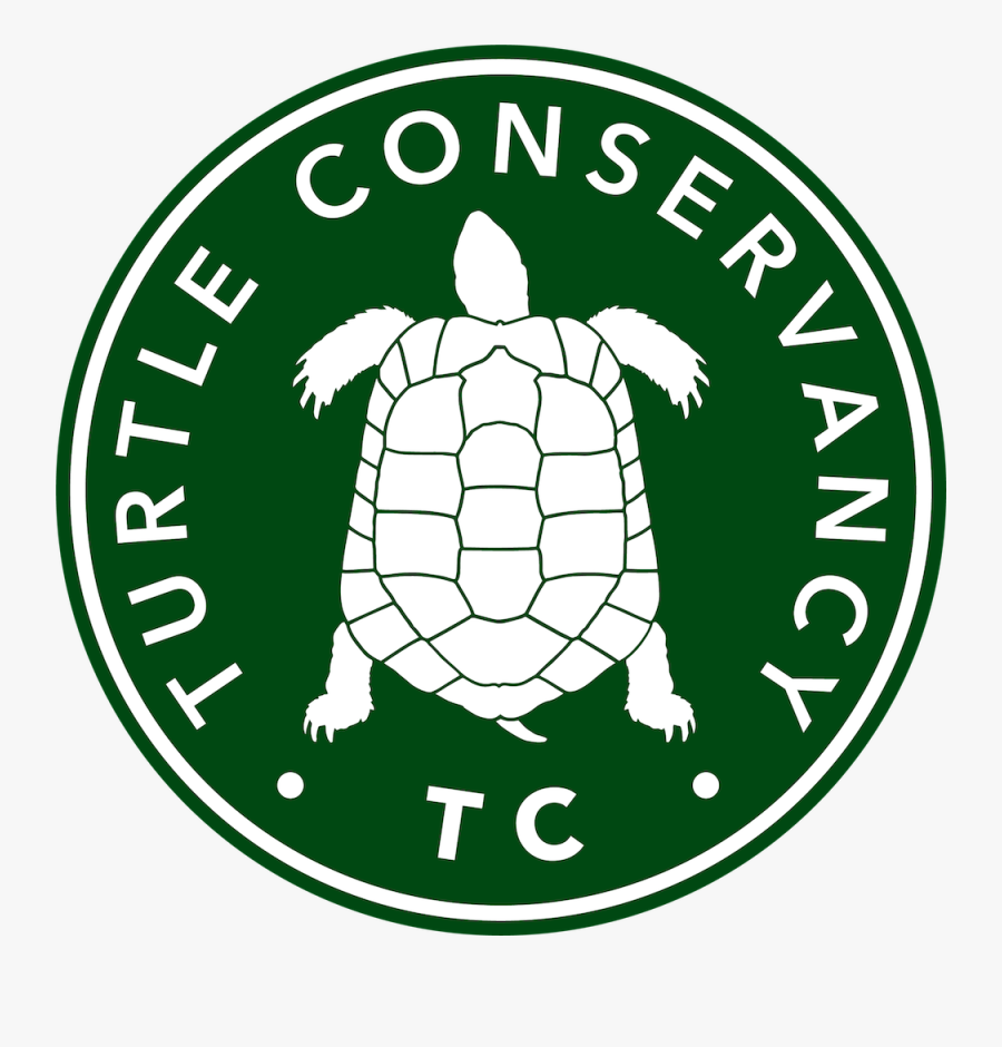 Tortoise Clipart Sick Turtle - Turtle Conservancy Logo, Transparent Clipart