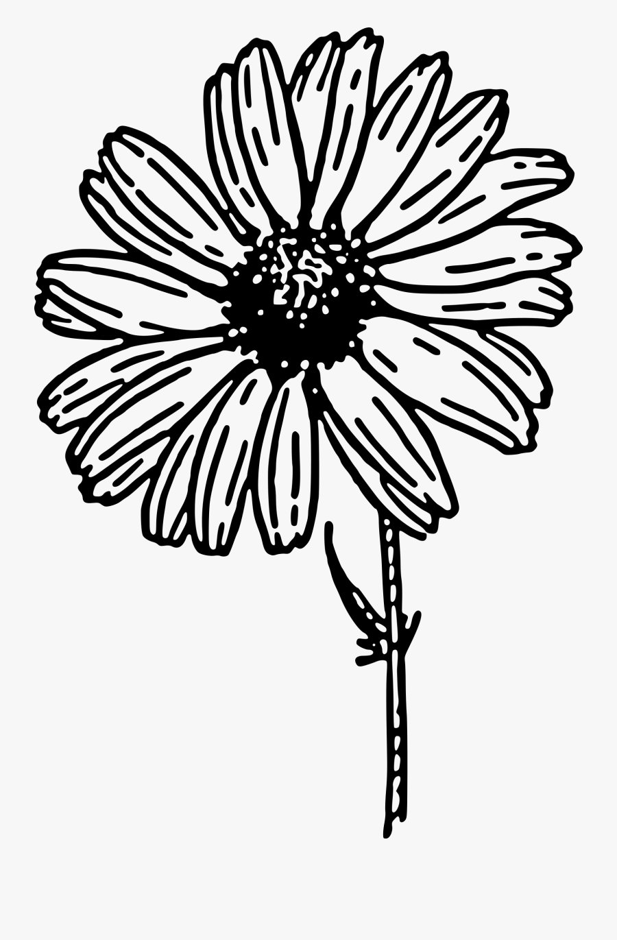Daisy Clipart To Download Free - Black And White Daisy, Transparent Clipart