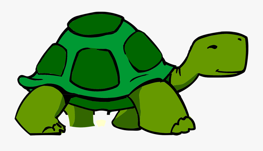 Carapace Free Vector Graphic - Turtle Clipart, Transparent Clipart