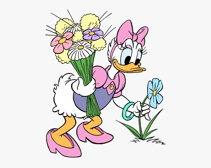 Daisy Duck Coloring Pages, Transparent Clipart