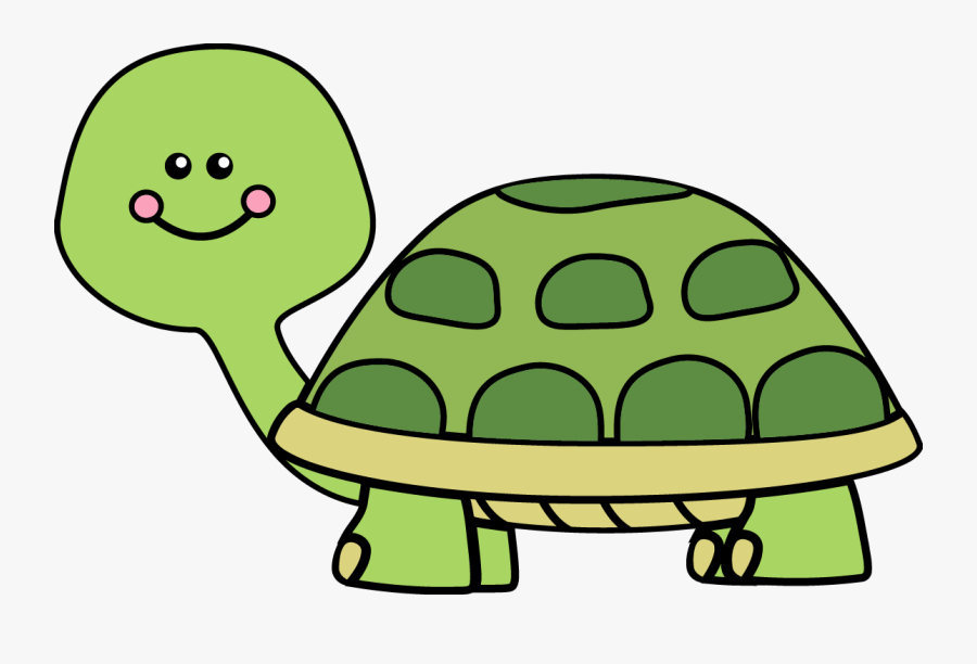 Transparent Turtle Clipart Png - Turtle Clipart, Transparent Clipart