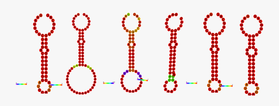 Thermometer, Transparent Clipart