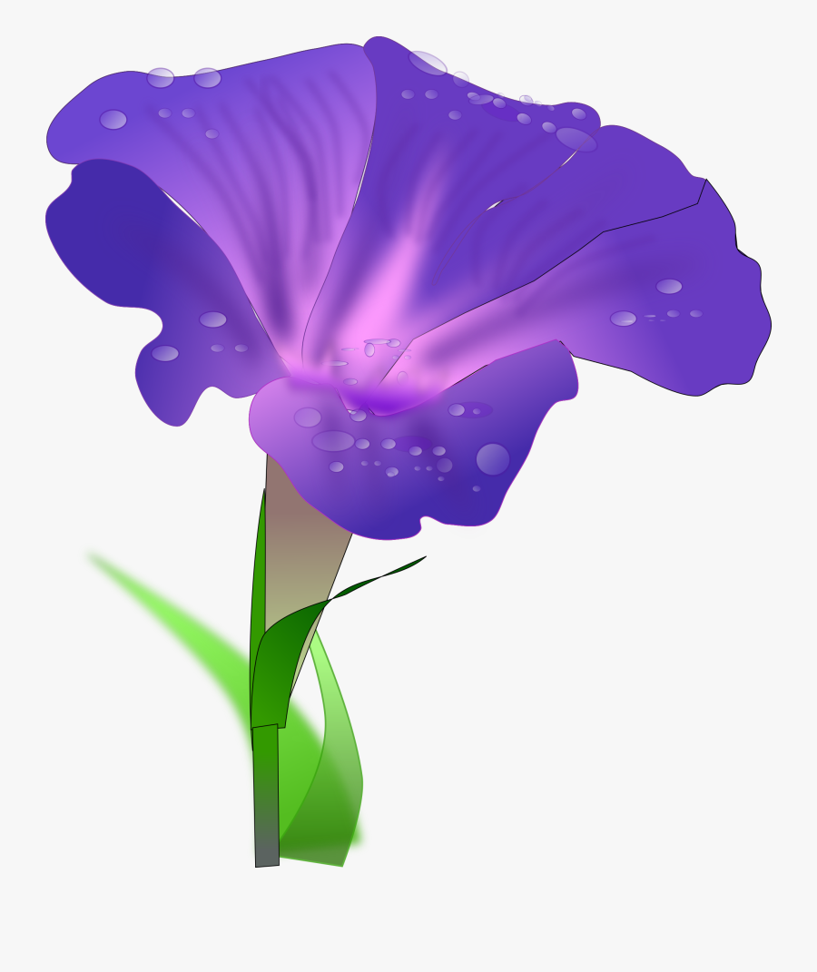 Morning Glory Flower Clipart, Transparent Clipart