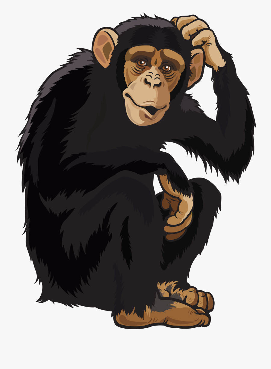 28 Collection Of Wild Animals Clipart Png - Chimpanzee Clipart, Transparent Clipart