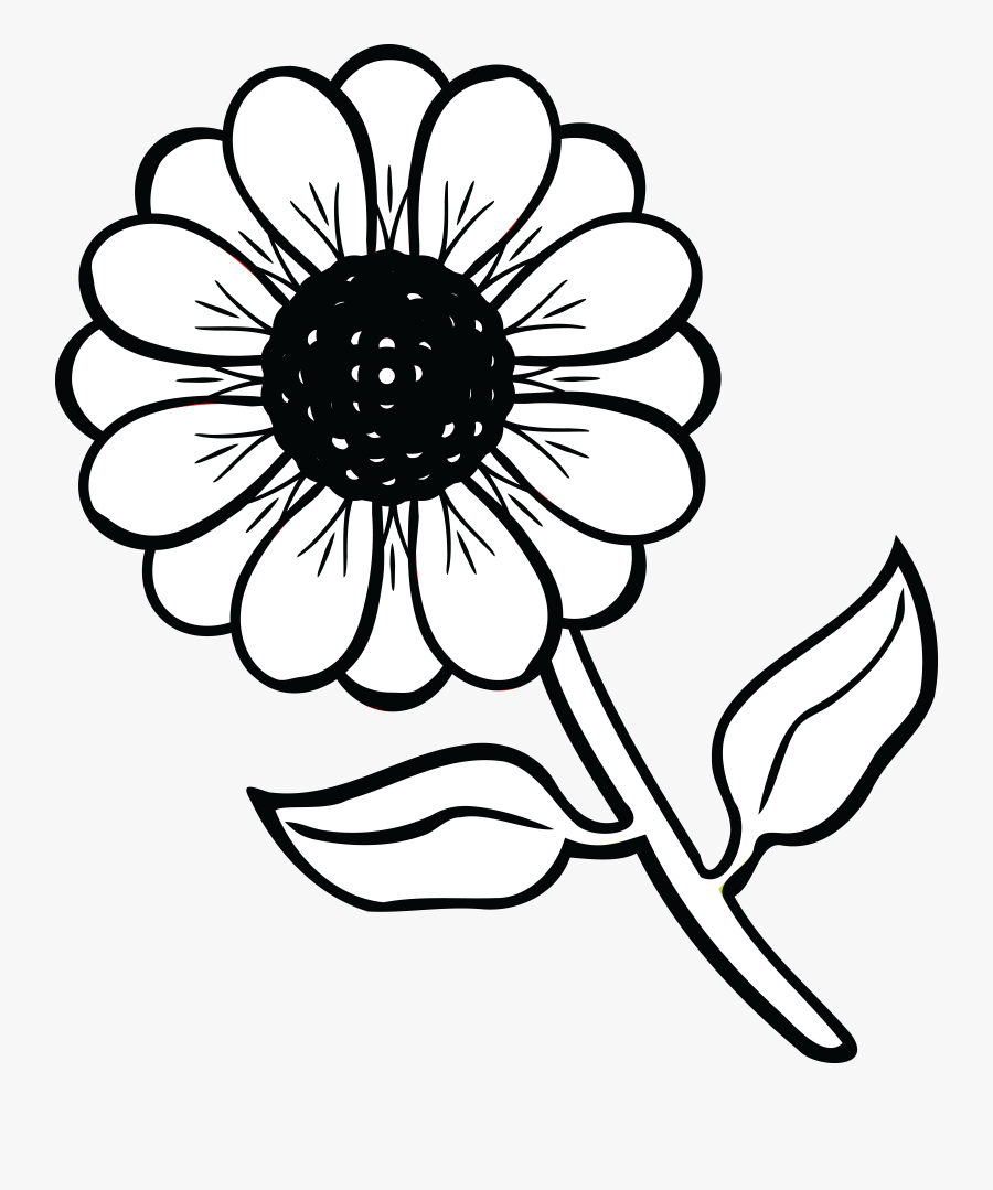 Daisy Clipart Black And White - Flower Black And White, Transparent Clipart