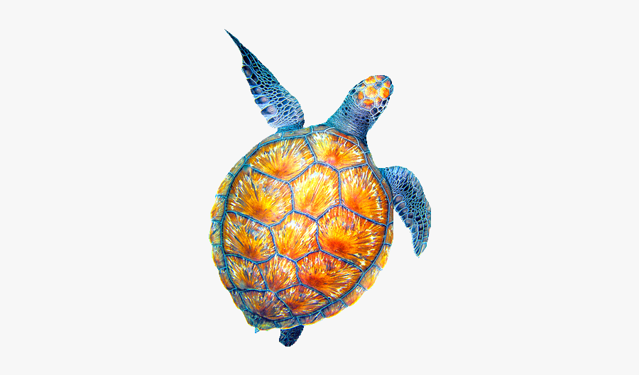 Clipart Turtle Watercolor, Clipart Turtle Watercolor - Cute Sea Turtle Drawing, Transparent Clipart