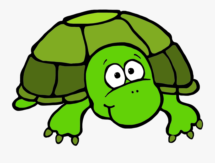 28 Collection Of Turtle Clipart Png - Turtle Clip Art Color, Transparent Clipart