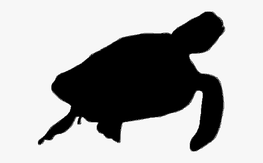 Sea Turtle Clipart Sea Life - Transparent Sea Turtle Silhouette, Transparent Clipart
