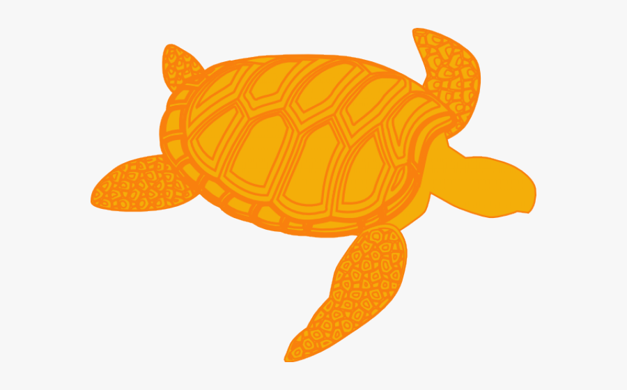 Sea Turtle Clipart Olive Ridley - Shadow Of A Turtle, Transparent Clipart