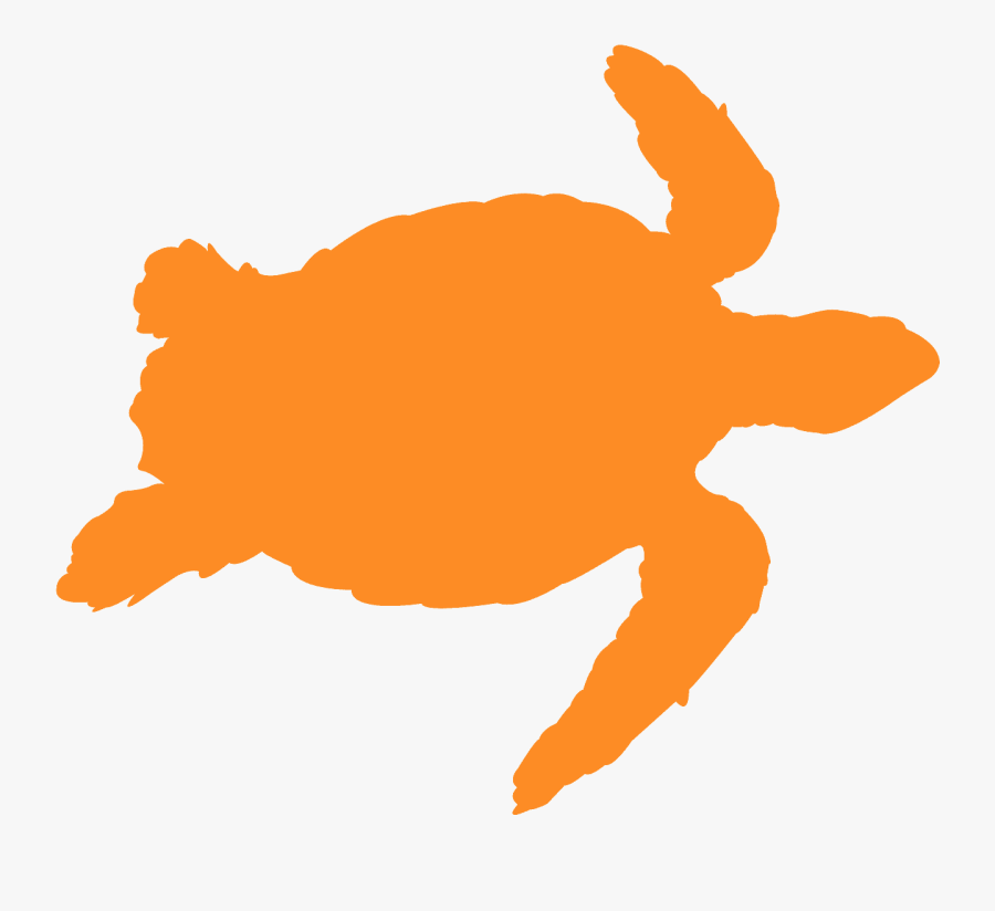 Yellow Turtle Outline, Transparent Clipart