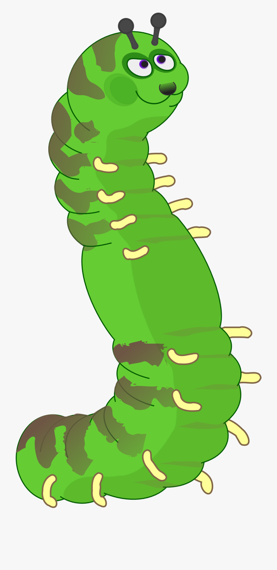 Open Ldap Plain Caterpillar 555px - Open Ldap, Transparent Clipart
