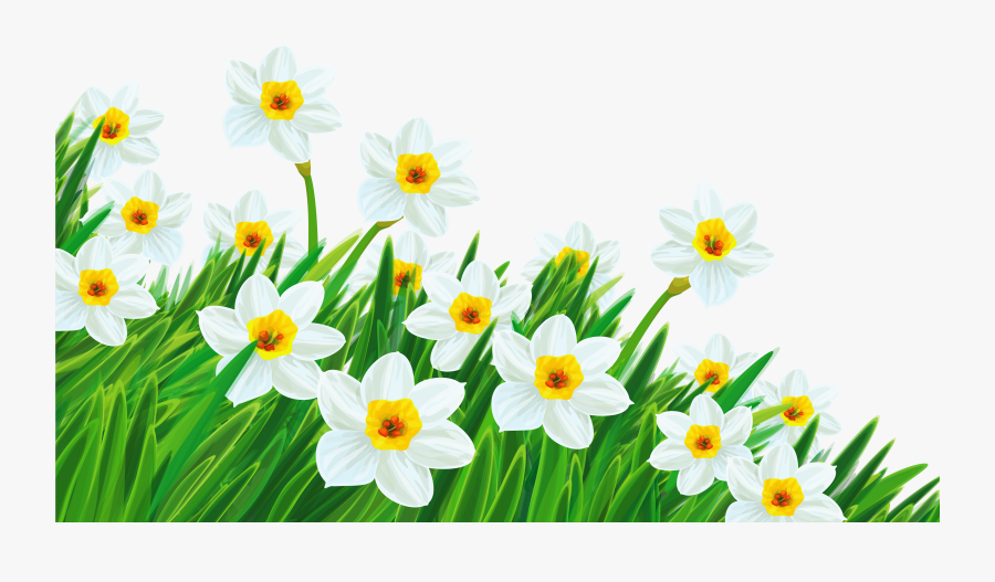 Daisy Clipart Ground - Spring Flowers Transparent Background, Transparent Clipart