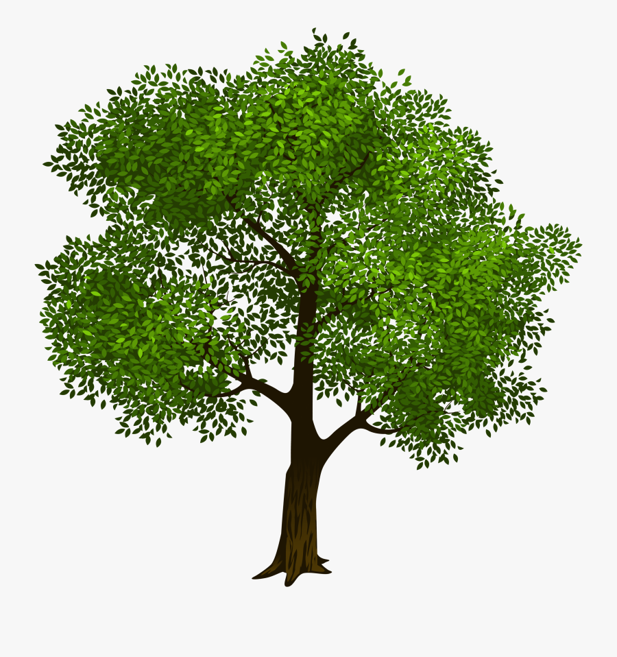 Tree Download Clip Art - Clipart Transparent Background Tree, Transparent Clipart