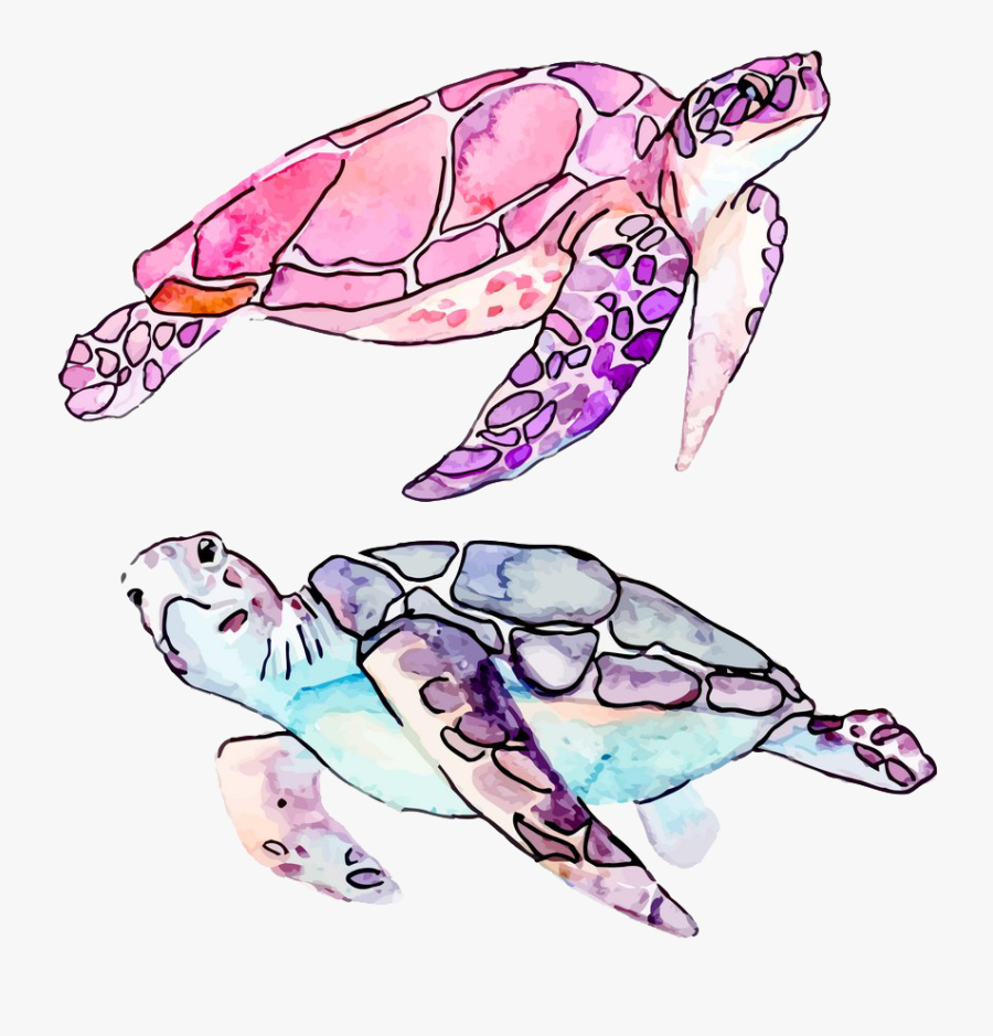 Clip Art Sea Cartoon Illustration Transprent Png Free - Cute Sea Turtle Drawing, Transparent Clipart
