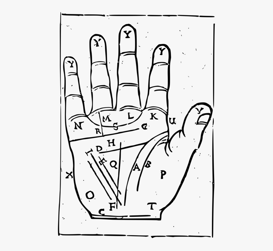 Palmistry Drawing Thumb Chart - Transparent Palm Reading Clipart, Transparent Clipart
