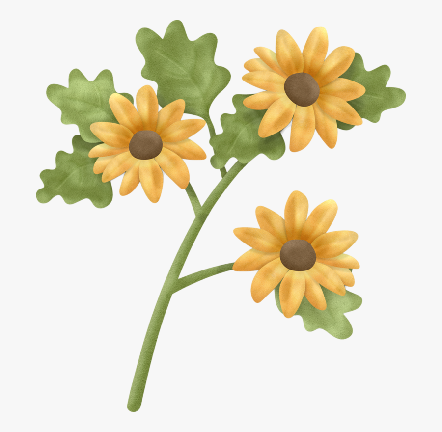 Daisies Clipart Vegetable - Black-eyed Susan, Transparent Clipart