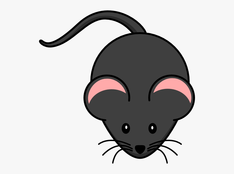 Rat Clipart, Transparent Clipart