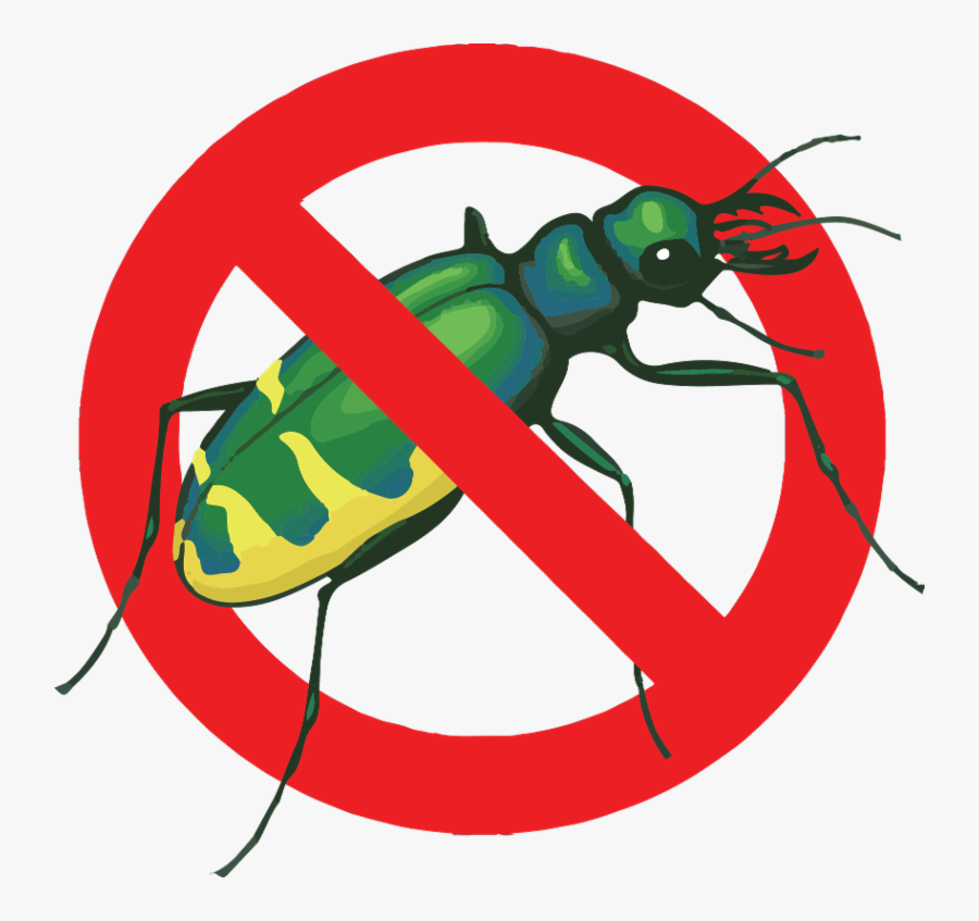 With Labor Day Marking The Unofficial End Of Summer,, Transparent Clipart