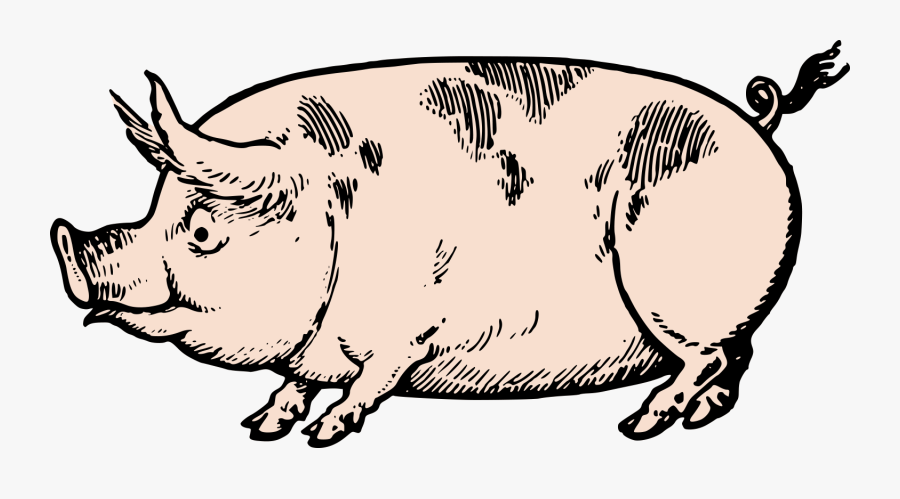 Cute Vintage Pig Clip Art & Stock Vector Oh So Nifty - Vintage Pig Clip Art, Transparent Clipart