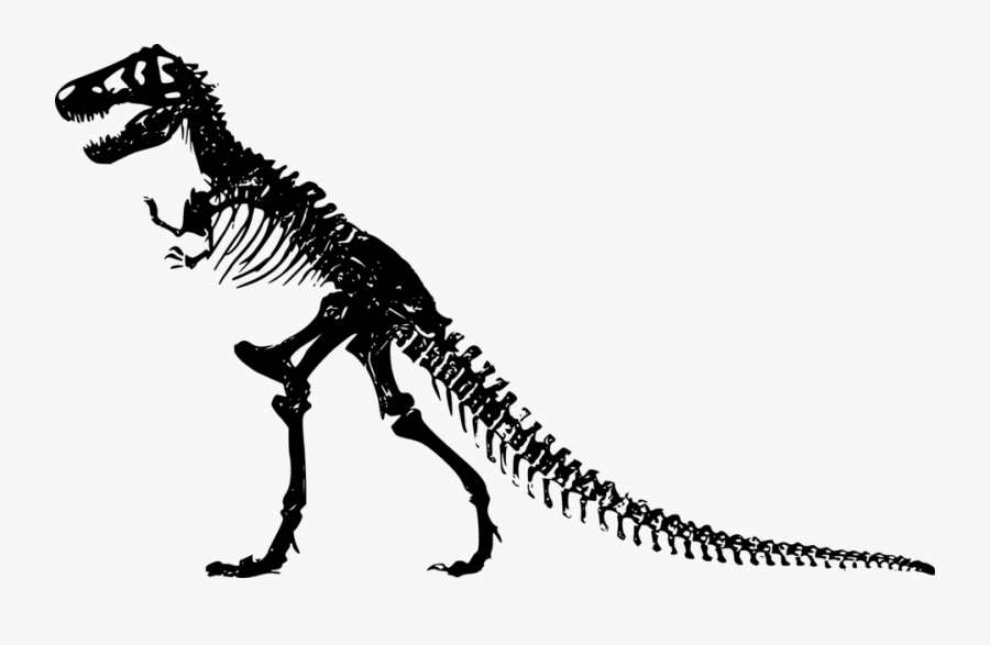 Dinosaur Bones Clipart, Transparent Clipart