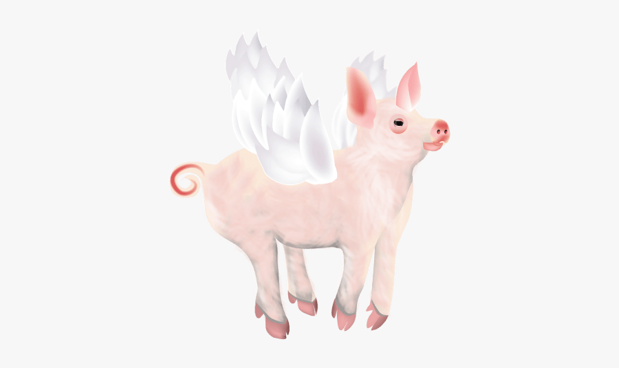 Domestic Pig, Transparent Clipart