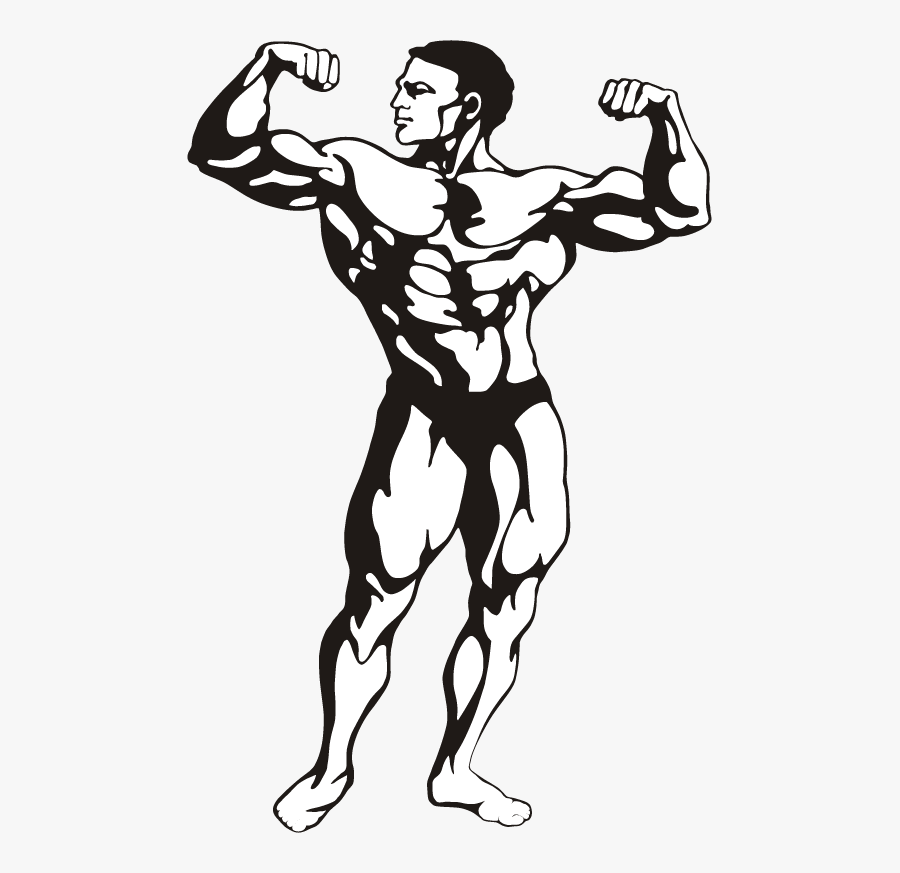 Gymnastics Clipart Body Building - Body Building Clip Art, Transparent Clipart