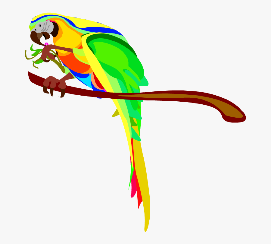 Macaw Parrot Clip Art Clipart Free Clipart - Australian Parrots Clipart, Transparent Clipart