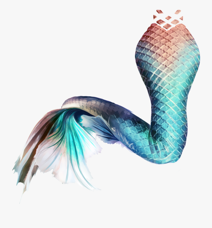 Mermaid Tail Siren Sticker Mug - Mermaid Tail No Background , Free
