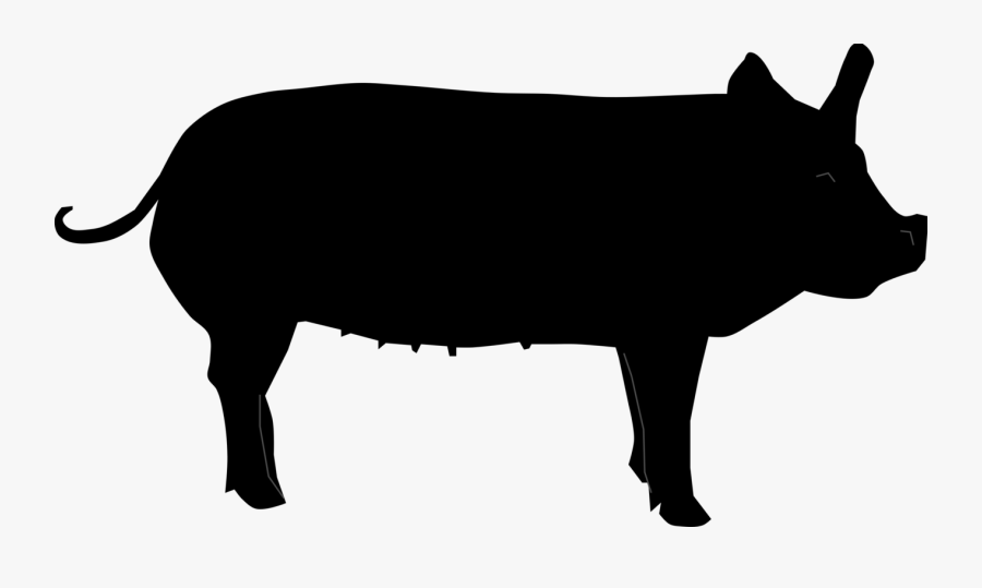 Pig Silhouette - Pog Silhouettw, Transparent Clipart