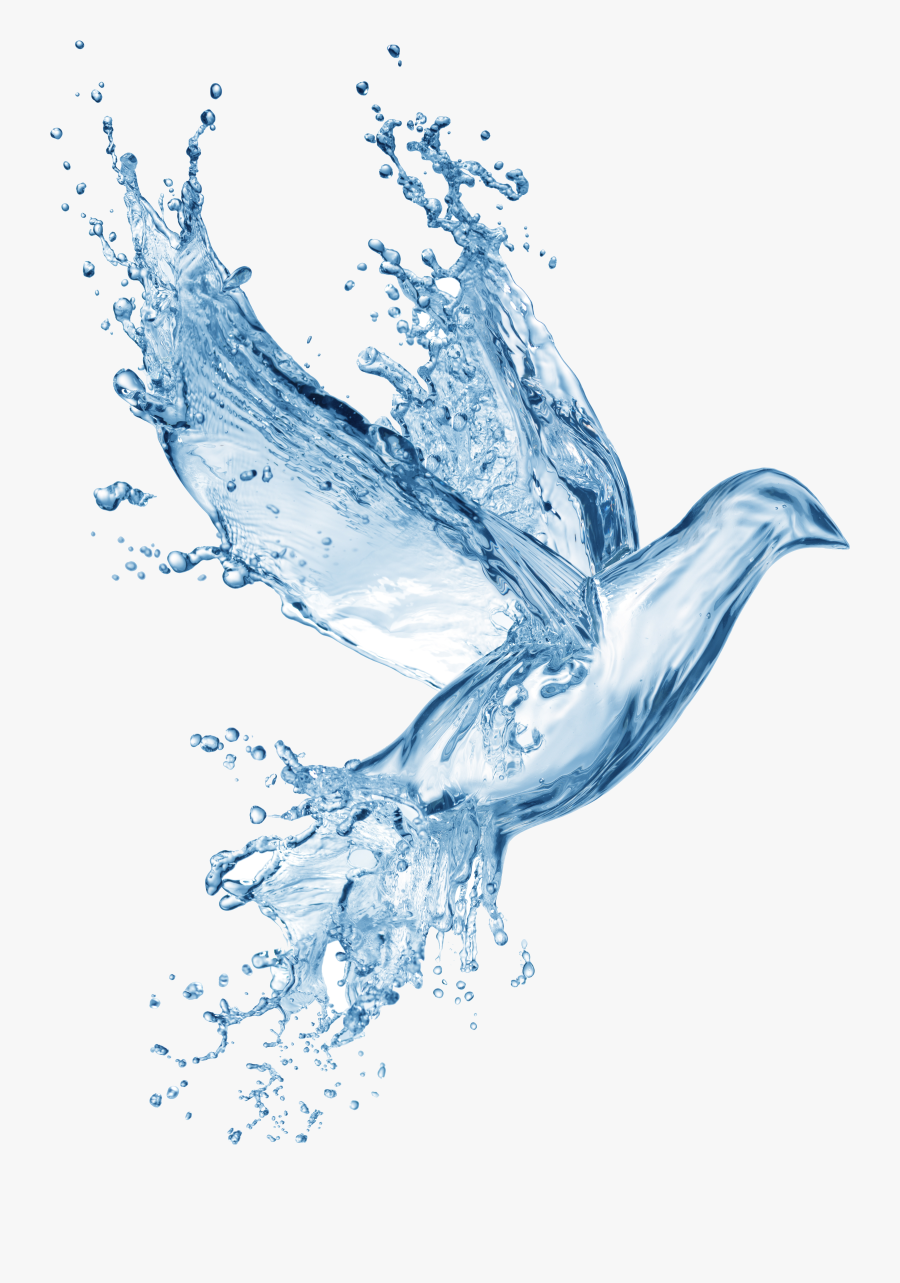 Prayer Clipart Bible, Transparent Clipart