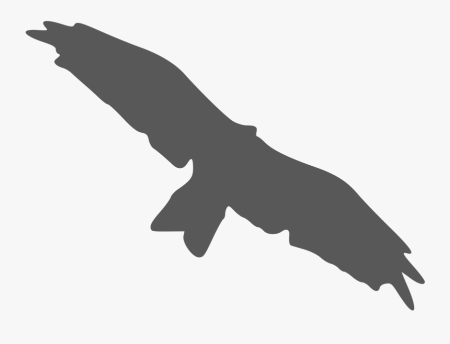 Silhouette,monochrome Photography,hand - Clipart Kite Bird, Transparent Clipart