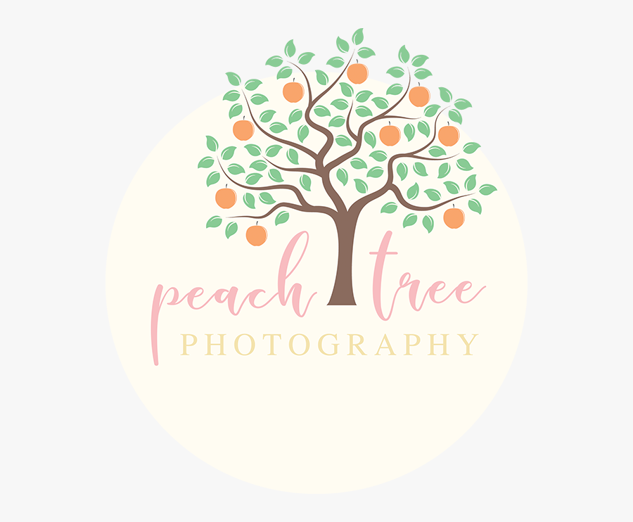 Transparent Peach Tree Png - Journey Together Child Care, Transparent Clipart