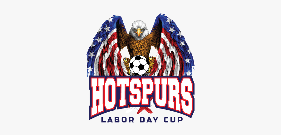 High Resolution American Flag Eagle, Transparent Clipart