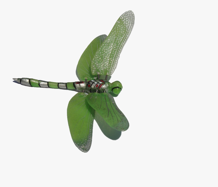 Dragonfly Clipart - Clip Art Of Dragonflies, Transparent Clipart