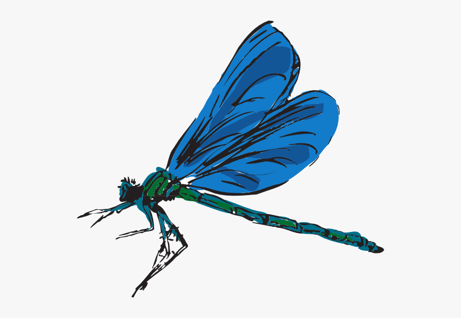 Dragonfly Art Clip Art - Blue Dragonfly Transparent Background, Transparent Clipart
