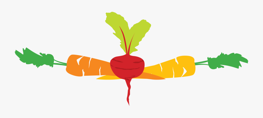 Harvest Clipart November Weather - Radish, Transparent Clipart