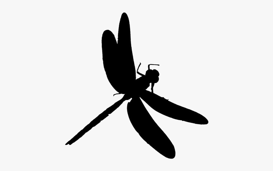 Transparent Dragonfly Clipart Image - Net-winged Insects, Transparent Clipart