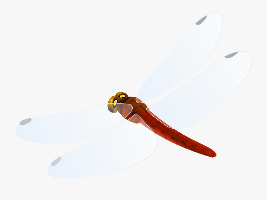 Red Dragonfly Png Clipart - Hunting Knife, Transparent Clipart