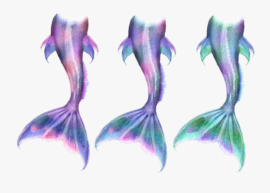 Ariel Mermaid Tail Siren Drawing - Mermaid Tails, Transparent Clipart
