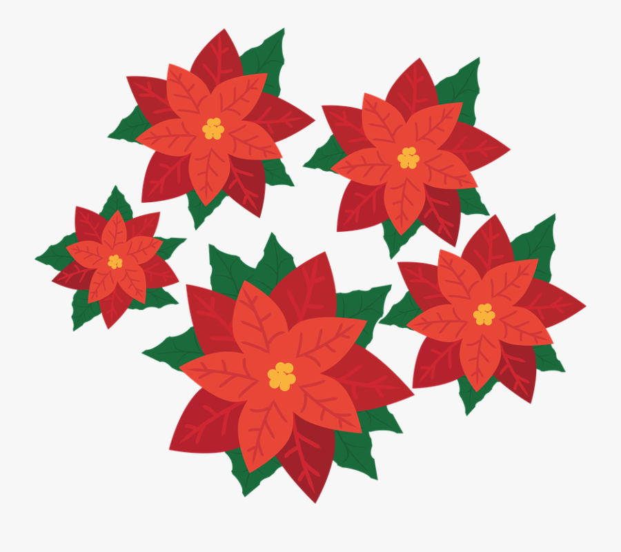 Border Clipart Poinsettia - Poinsettia Transparent, Transparent Clipart