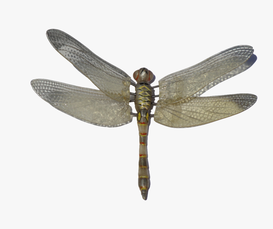 Dragonfly Png Image, Transparent Clipart