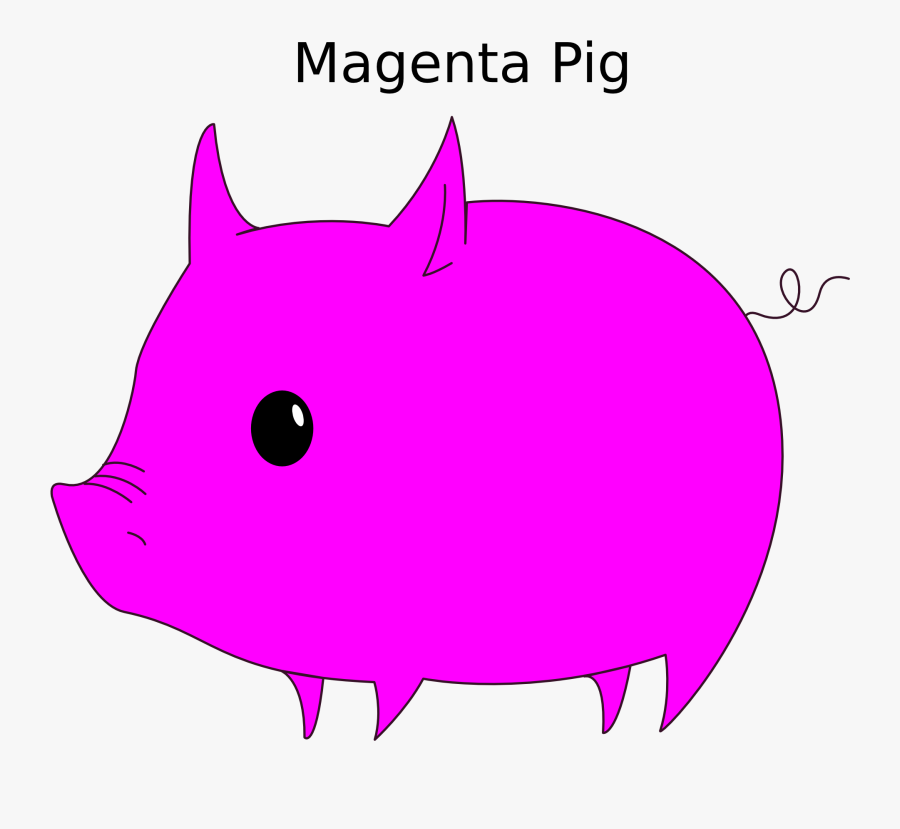 Carnivoran,fish,pig, Transparent Clipart