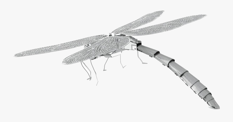 Dragonfly Png Clipart Background - Metal Earth Dragonfly, Transparent Clipart