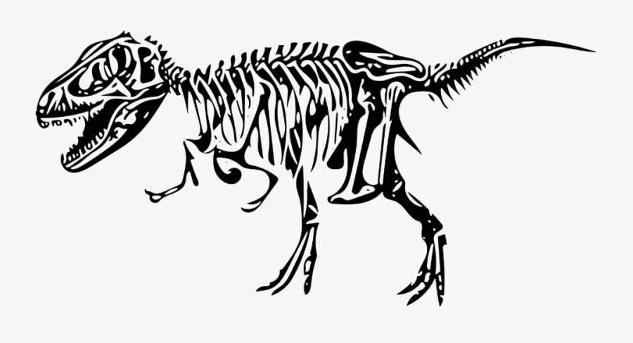 Dinosaur Clipart Dinosaur Bone - Dinosaur Skeleton Clipart, Transparent Clipart