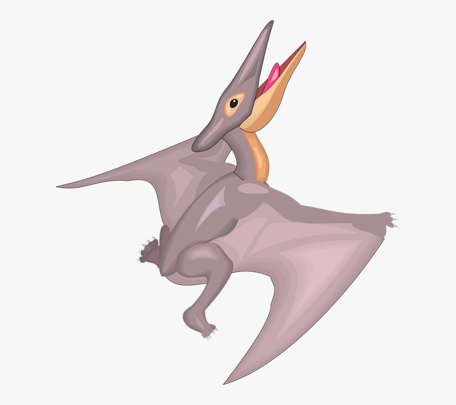 Dinosaur Clipart Bird - Pteranodon Clipart, Transparent Clipart