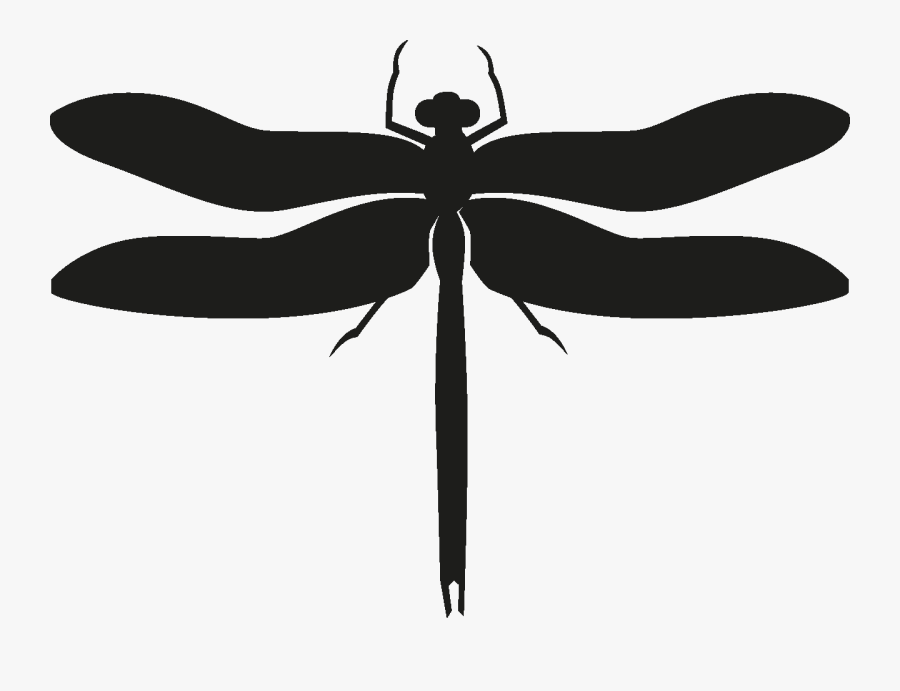 Insects Set [silhouette] Png - Dragonfly, Transparent Clipart
