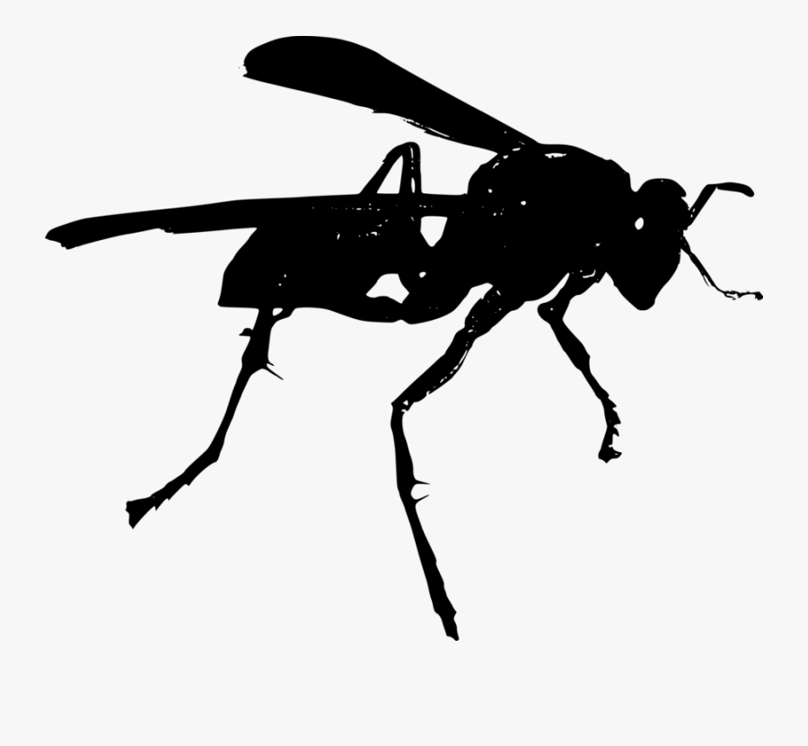 Dragonfly Clipart Free - Wasp Black And White Clipart, Transparent Clipart