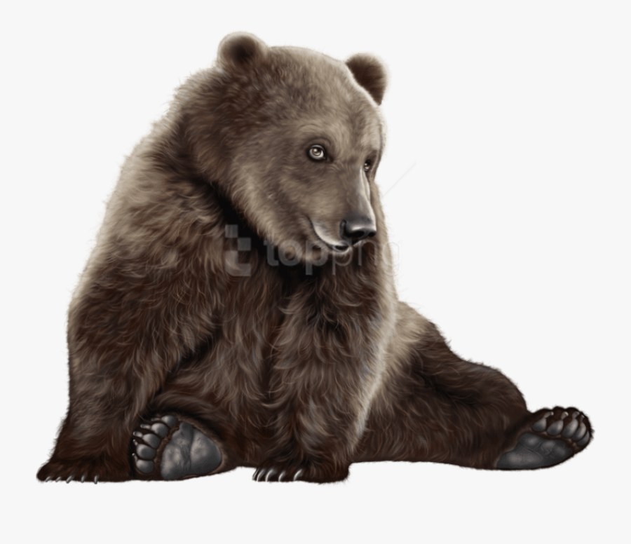 Bear Png Clip Art - Baby Polar Bear Black, Transparent Clipart
