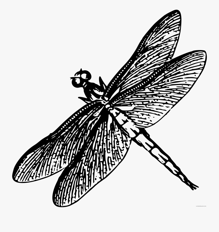 Vector Royalty Free Download Dragonflies Drawing Heart - Drawing Of Dragonfly Black And White, Transparent Clipart