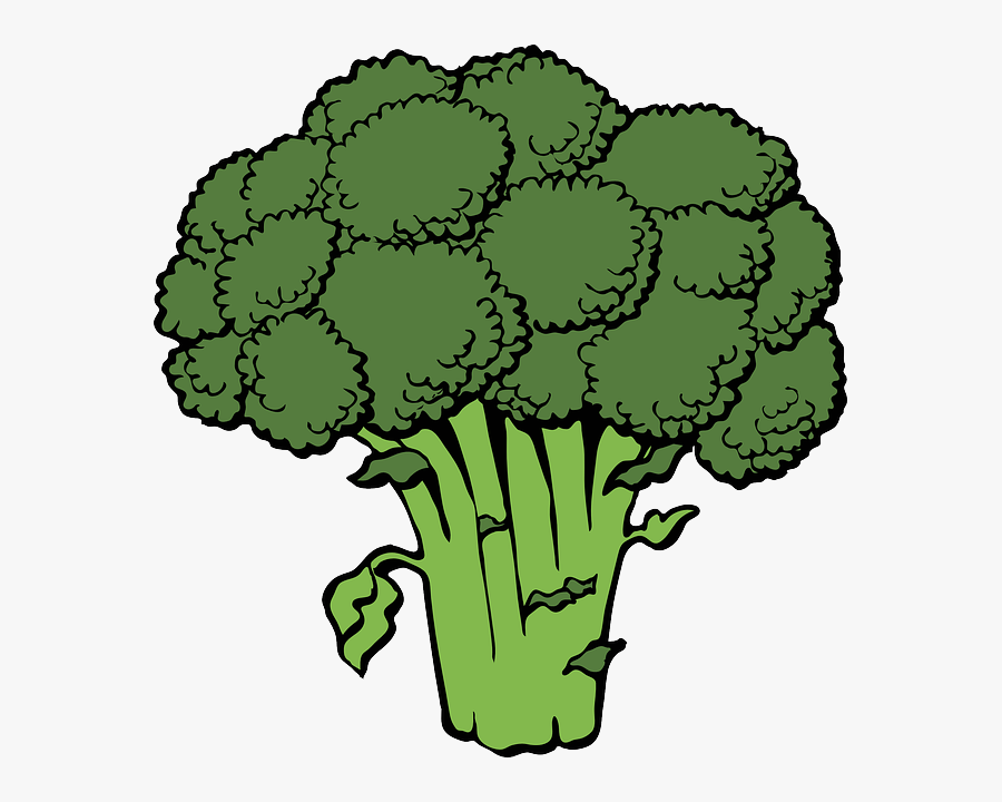 Year Of Clean Water - Broccoli Clipart, Transparent Clipart